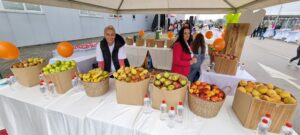 Family Day Johnson Electric - voćni dan
